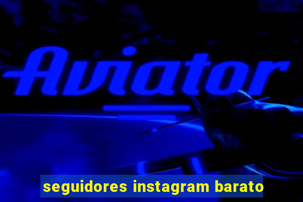 seguidores instagram barato